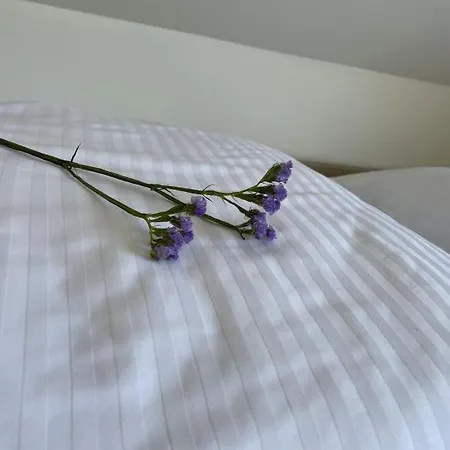 Przystan Na Dobrej 別荘 *