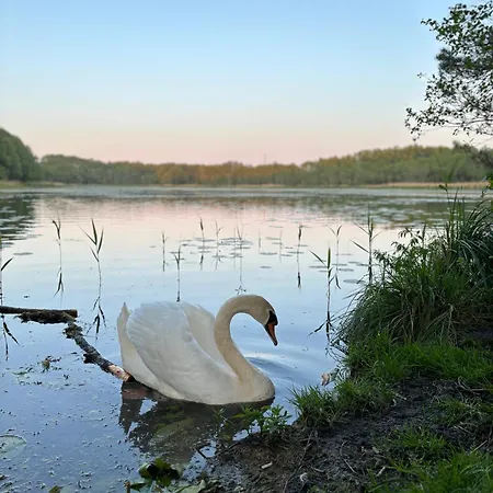 Przystan Na Dobrej 別荘