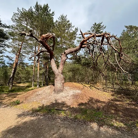 別荘 Przystan Na Dobrej コパリノ