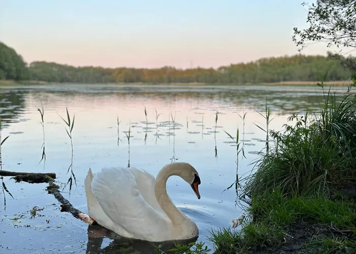 Przystan Na Dobrej Dom wakacyjny