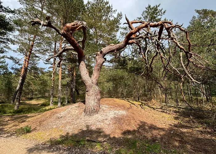 Dom wakacyjny Przystan Na Dobrej Kopalino